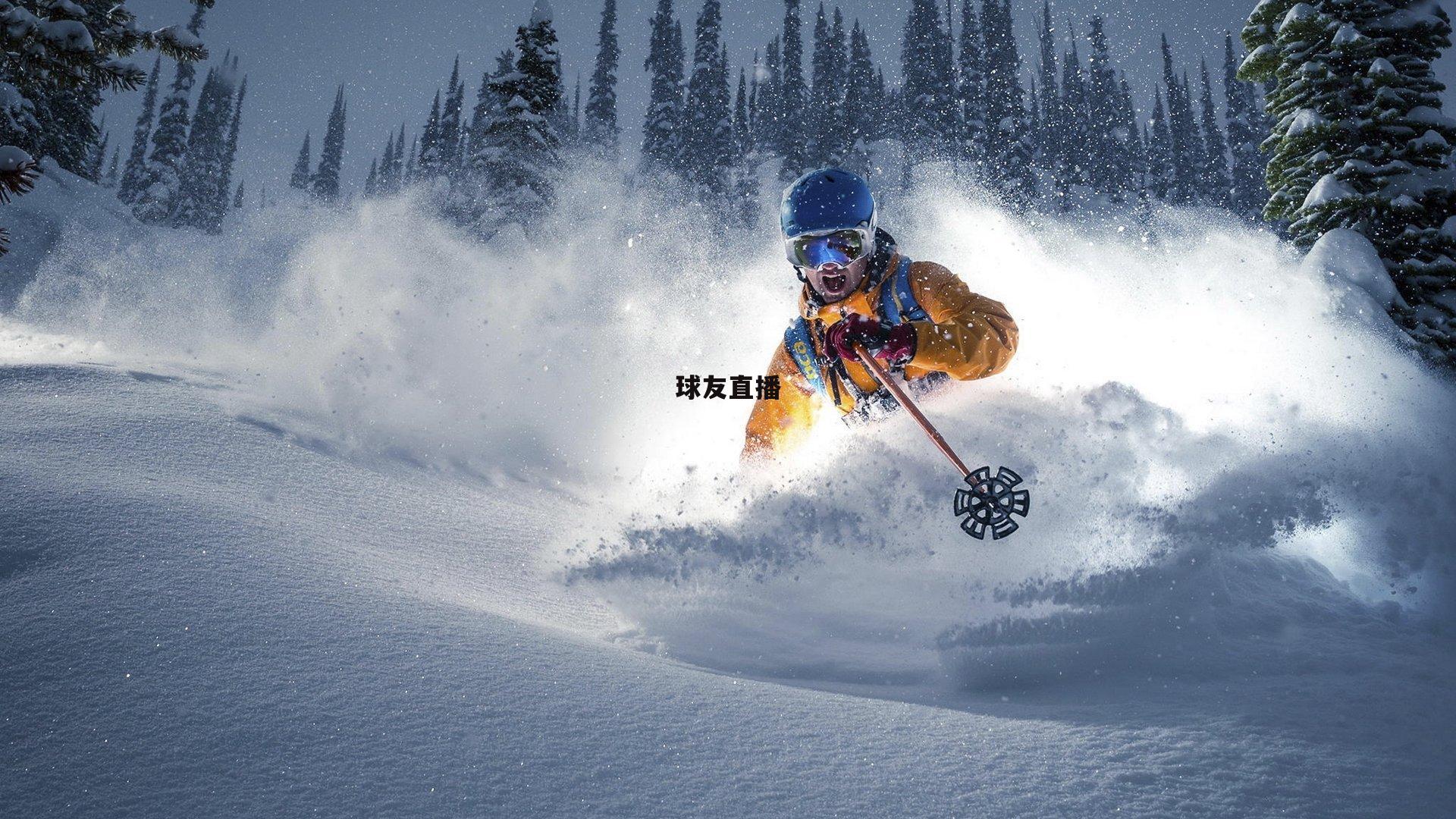 双星闪耀！东契奇波神同砍20+15创造NBA历史，独行侠主场狂胜对手