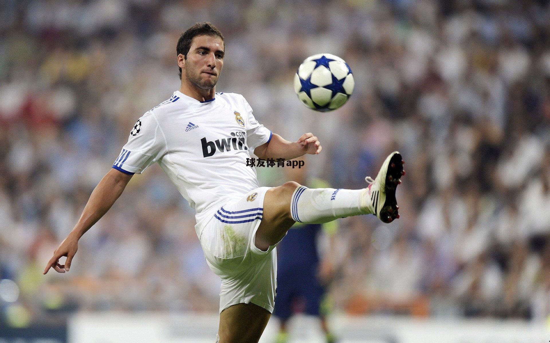 球友体育官网|篮球峰会归来诺维茨基险成罪人，但他已经世界扬名